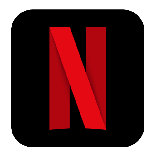 Netflix Subscription